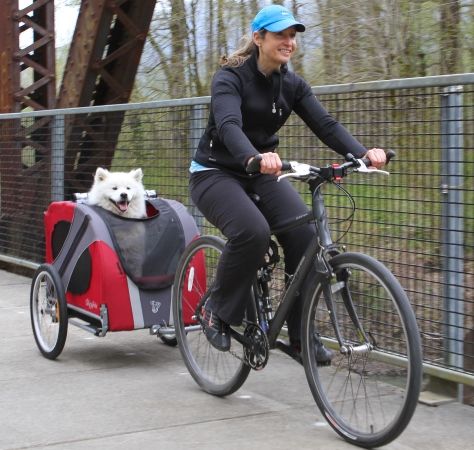 Dog bicycle carrier