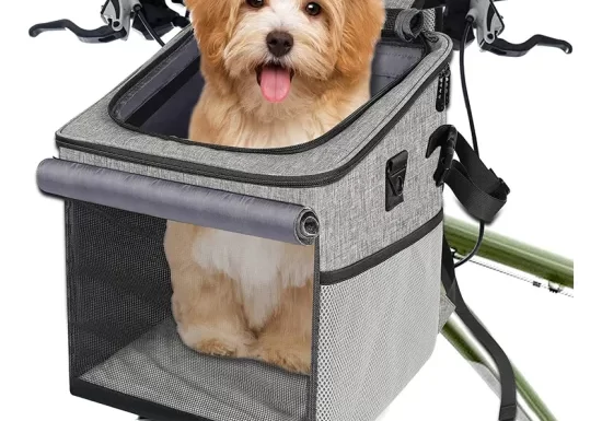 Dog Bicycle Carriers – Fashion and Style Cruising With Your Pet