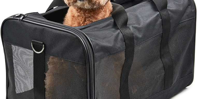 Pet Travel Carriers For Dogs and Cats