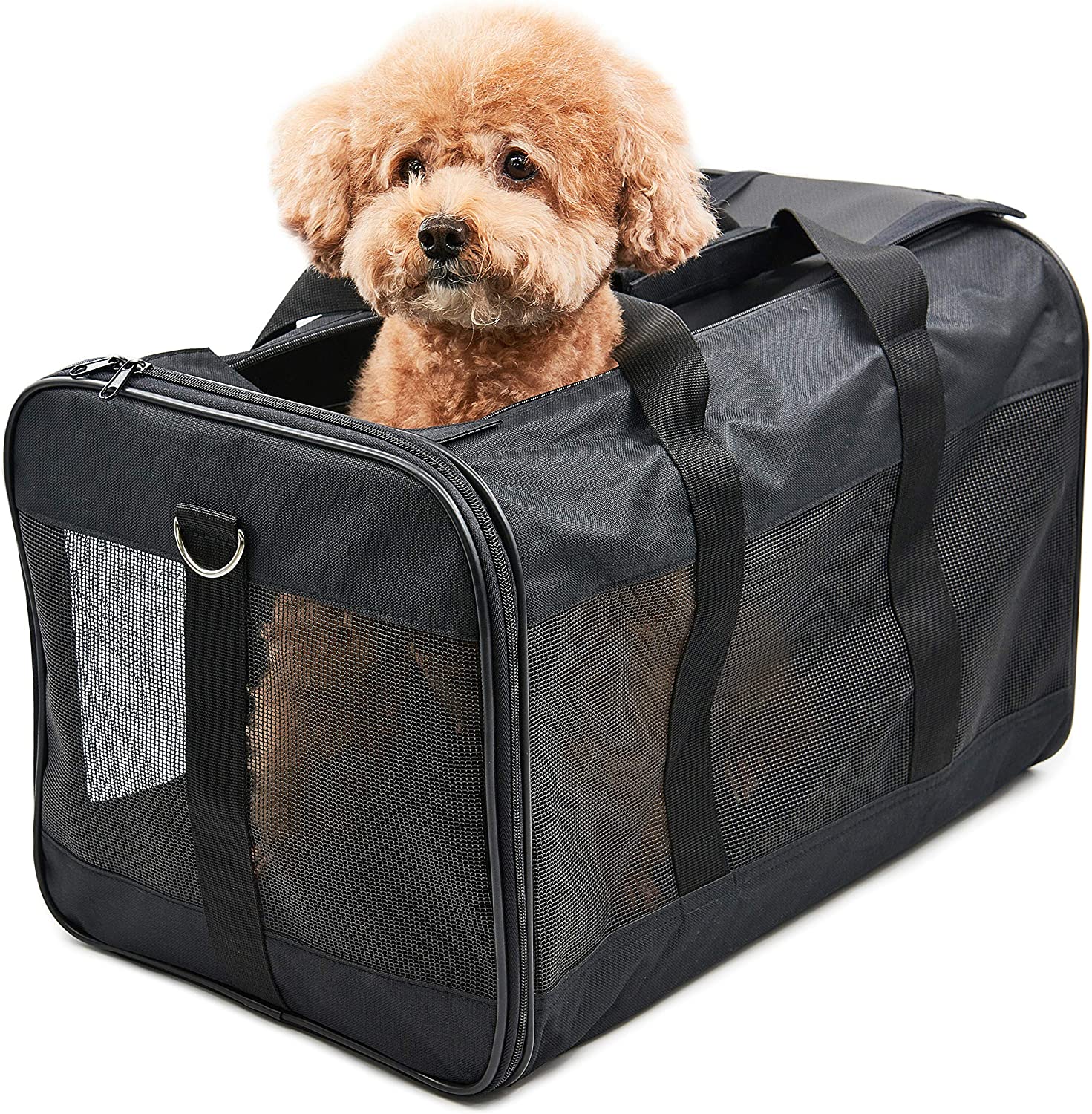 Pet travel carrier